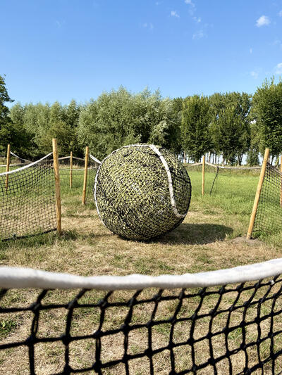 Ralph Nollet - tennis