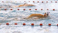 Begeleiden van zwemmers met een beperking (BOAS)