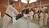 Taekwondoka in actie